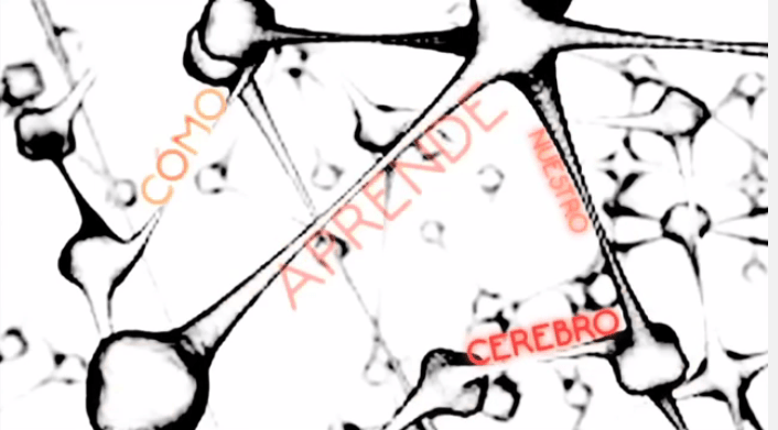 comoaprendenuestrocerebrodosvideossuperdidacticos-video-bloggesvin