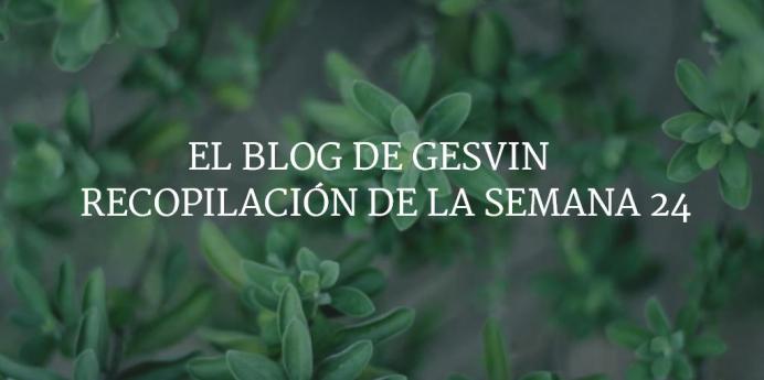 Semana24-15-BlogGesvin