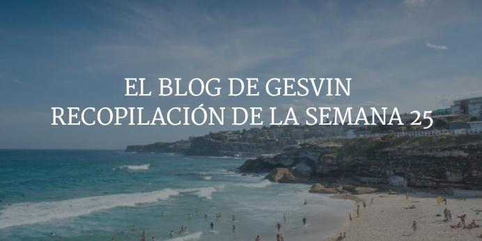 Semana25-15-BlogGesvin