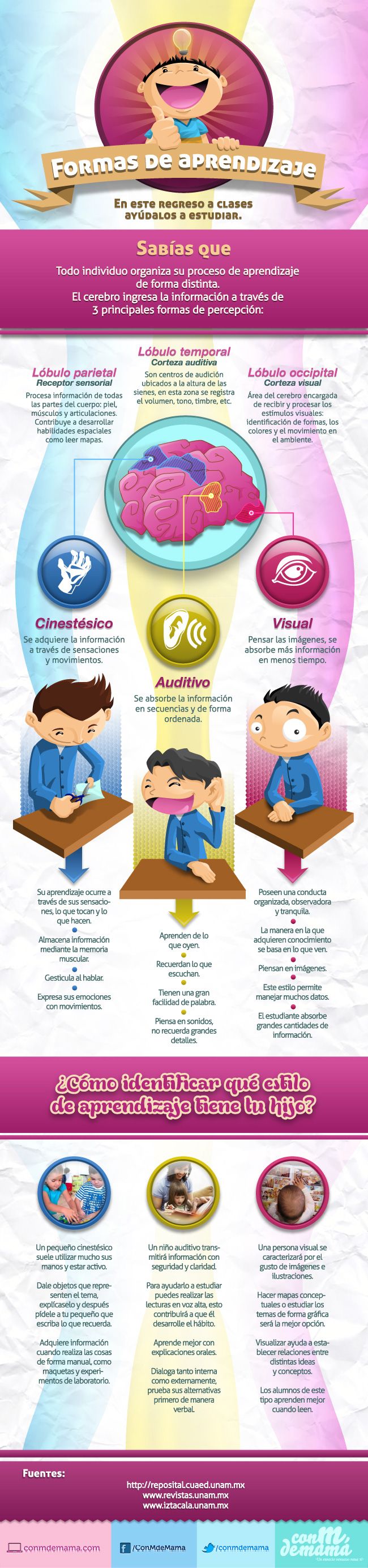 Aprendizaje3FormasPercepciónCerebral-Infografía-BlogGesvin