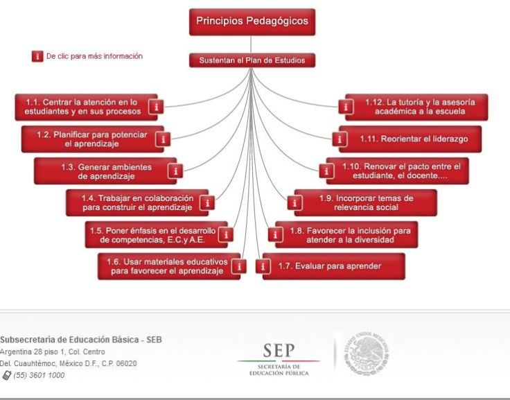 12PrincipiosPedagógicosEducaciónBásica-Sitio-BlogGesvin