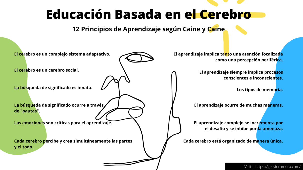 Educación Basada en el Cerebro - 12 Principios de Aprendizaje según Caine y Caine (Parte I)