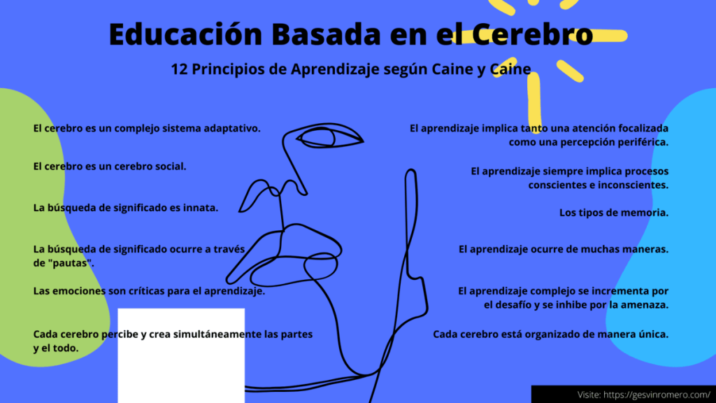 Educación Basada en el Cerebro - 12 Principios de Aprendizaje según Caine y Caine (Parte II)