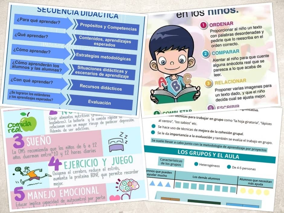 Elementos de la secuencia didáctica