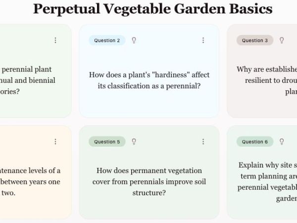 Figy AI – La IA Gratuita para Tarjetas Didácticas que Transforma el&nbsp;Estudio